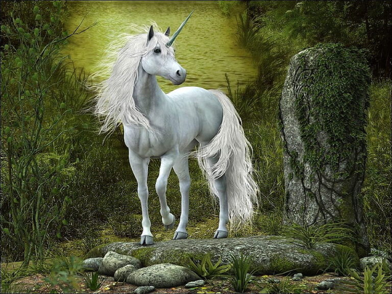 HD-wallpaper-white-unicorn-unicorn-colors-beautiful-fairytale-horse-animal-fantasy-splendor-white